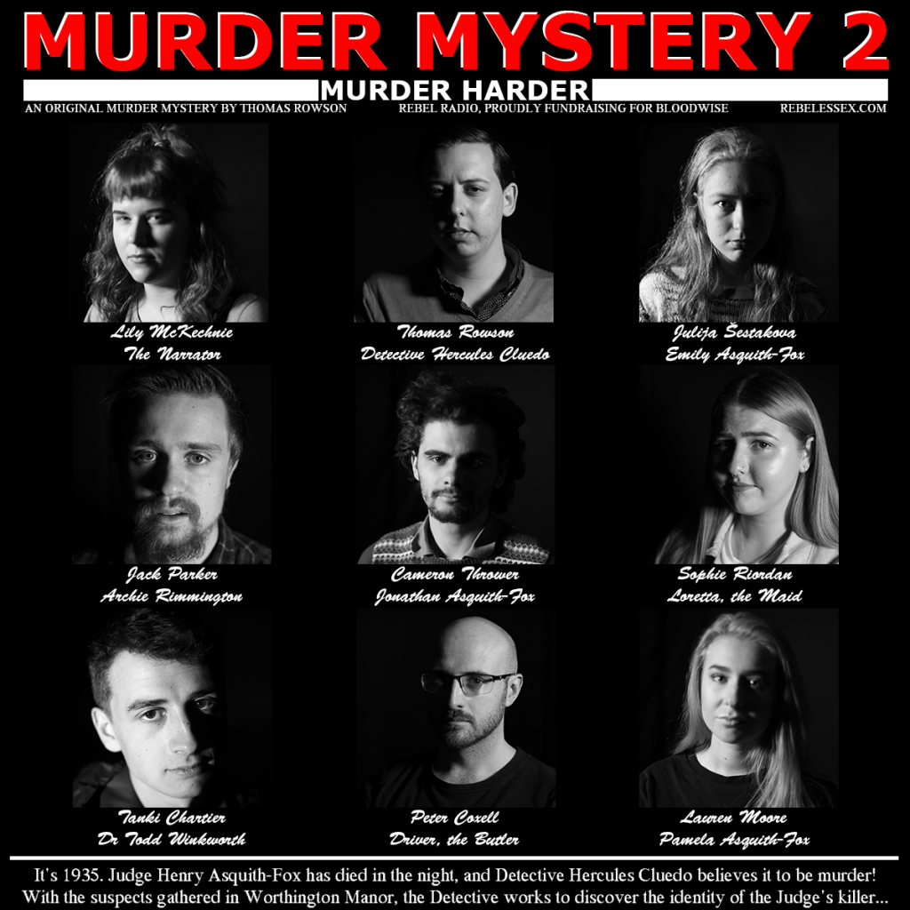 Murder Mystery 2: Murder Harder