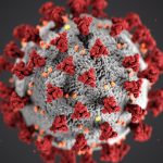 Taking Care During the Coronavirus Epidemic