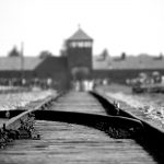 <strong>Holocaust Memorial Week </strong><strong></strong>